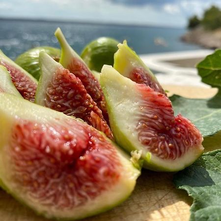 Porat Leilighet Starigrad Paklenica Eksteriør bilde