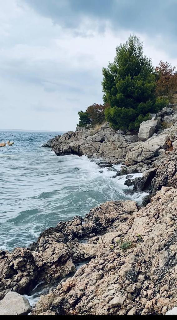 Porat Leilighet Starigrad Paklenica Eksteriør bilde